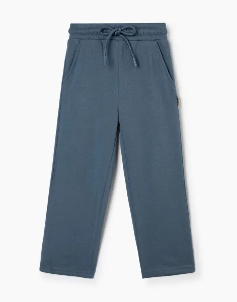 Синие спортивные брюки Comfort для мальчика-0